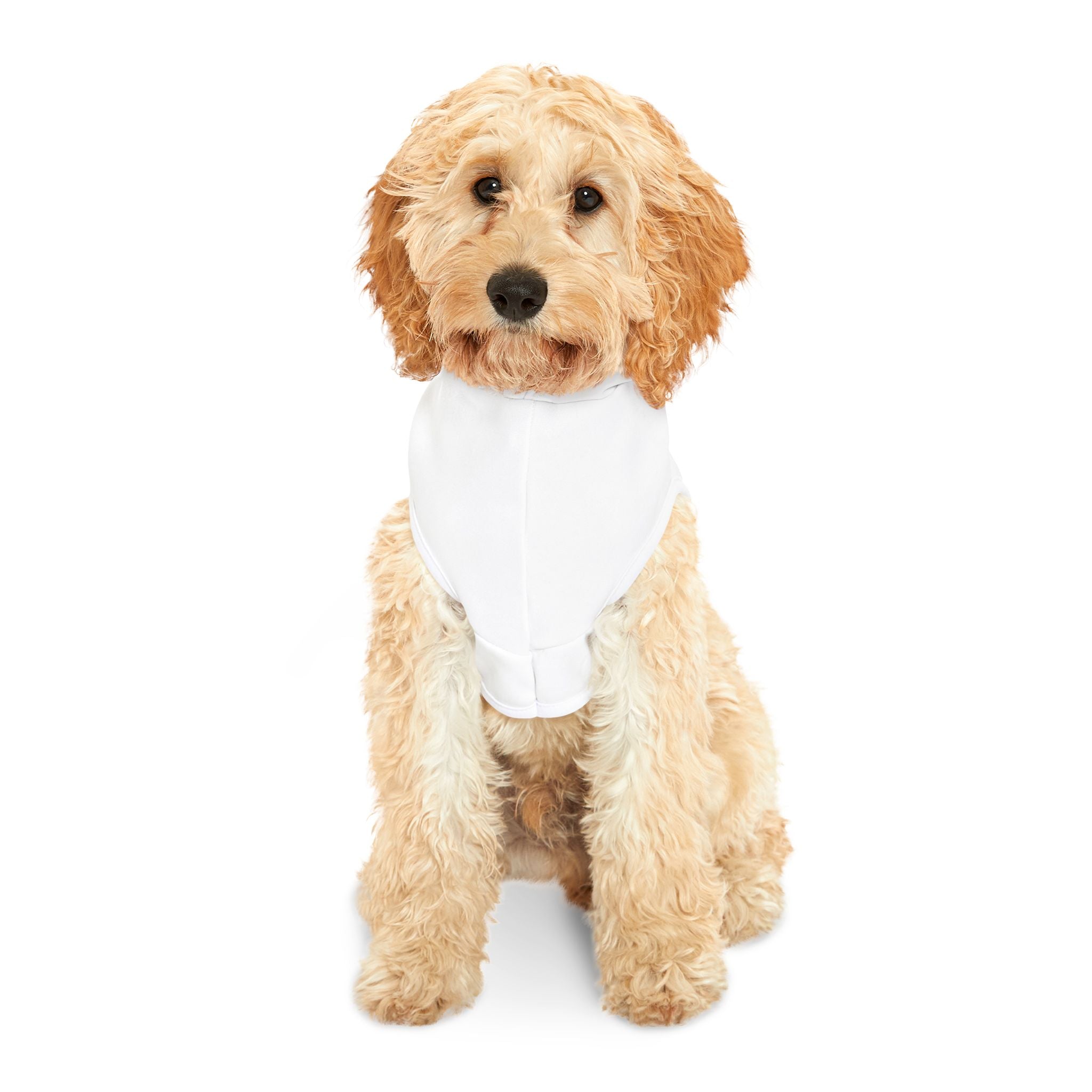 LUV NOT WAR Pet Hoodie